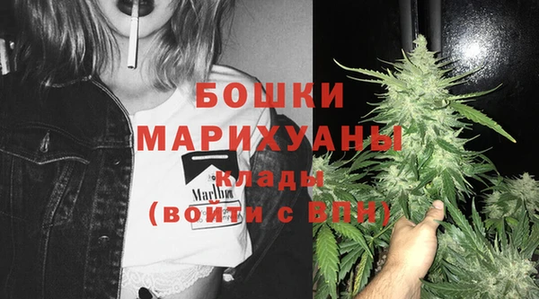 мдпв Киреевск