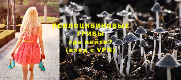 мдпв Киреевск