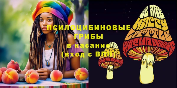 герыч Кинешма