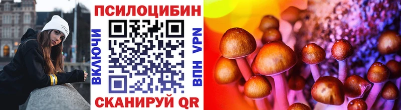 Псилоцибиновые грибы прущие грибы  Купить закладки  Знаменск 