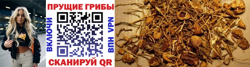 Галлюциногенные грибы GOLDEN TEACHER Знаменск
