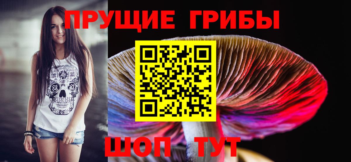 сколько стоит  Галлюциногенные грибы ЛСД  Вход с VPN  Знаменск 