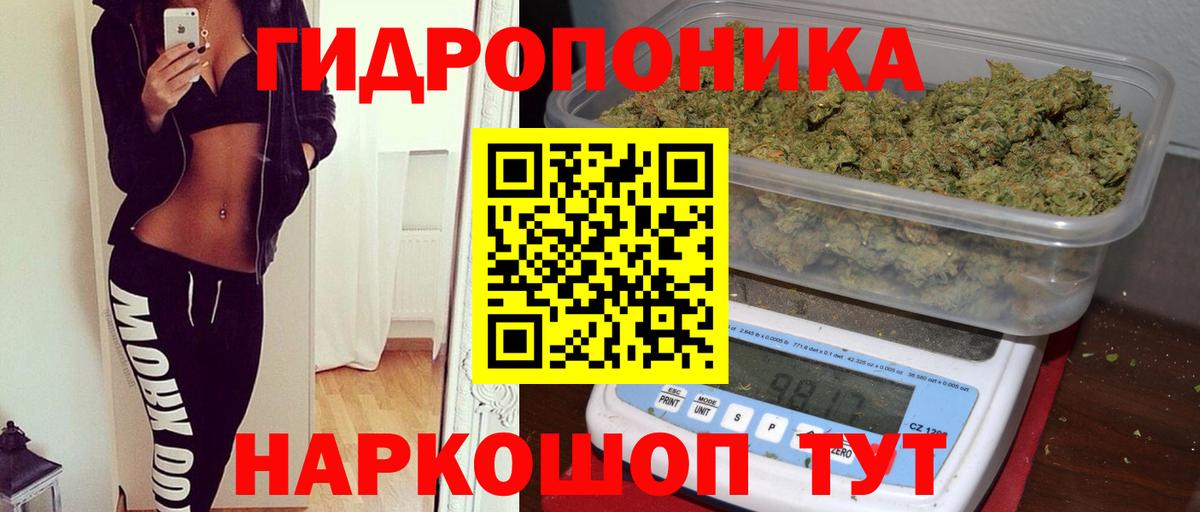 Каннабис план  Знаменск  Бошки Шишки OG Kush  Шишки марихуана VHQ 