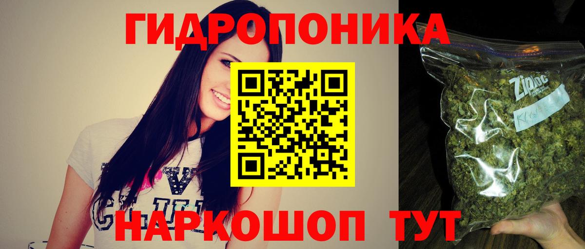 Конопля сатива  Бошки Шишки VHQ  Марихуана план  Знаменск  Вход с VPN  Конопля LSD WEED 